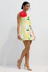 Sibyl Floral Applique Sleeveless Mini Dress | Dress In Beauty