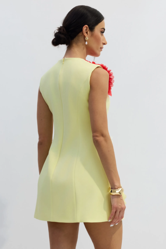 Sibyl Floral Applique Sleeveless Mini Dress | Dress In Beauty