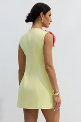 Sibyl Floral Applique Sleeveless Mini Dress | Dress In Beauty