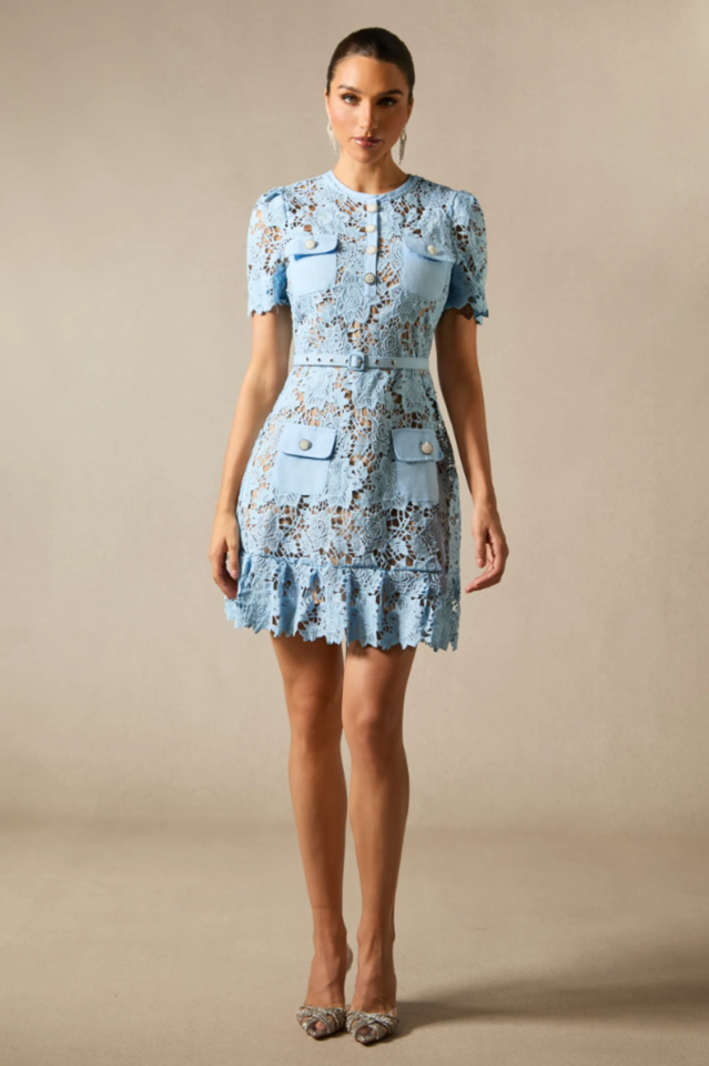 Renata Floral Embroidered Lace Mini Dress | Dress In Beauty