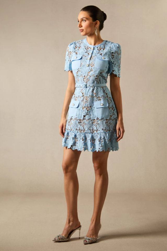 Renata Floral Embroidered Lace Mini Dress | Dress In Beauty