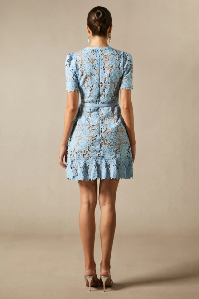 Renata Floral Embroidered Lace Mini Dress | Dress In Beauty