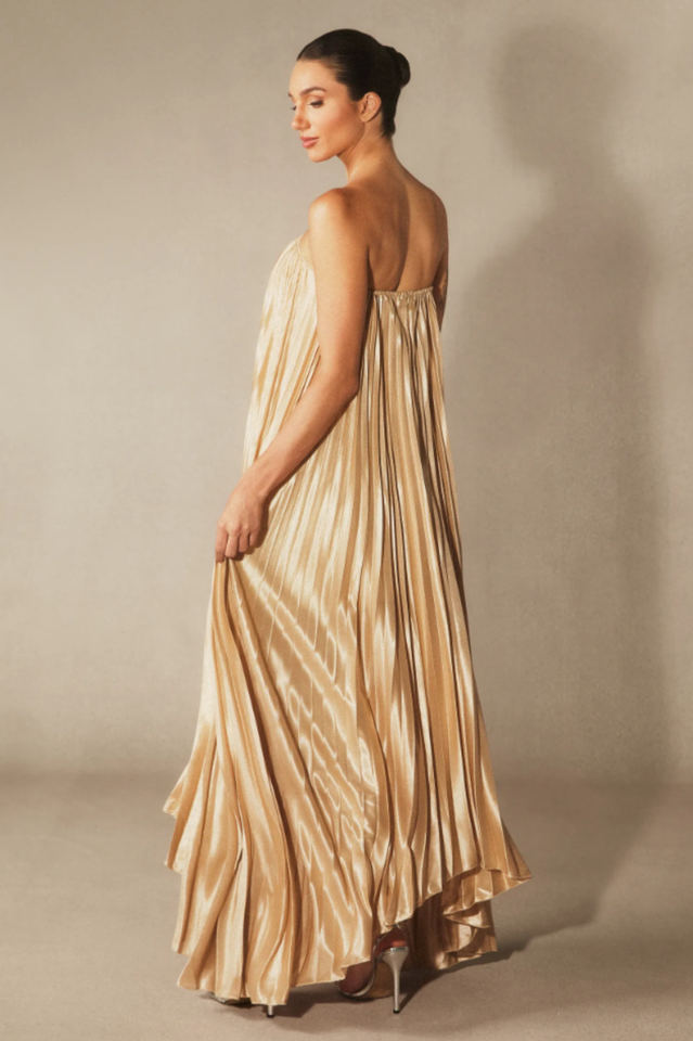 Louisa Strapless Pleated Maxi Dress | Dress In Beauty