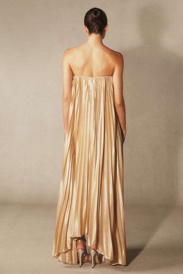 Louisa Strapless Pleated Maxi Dress | Dress In Beauty