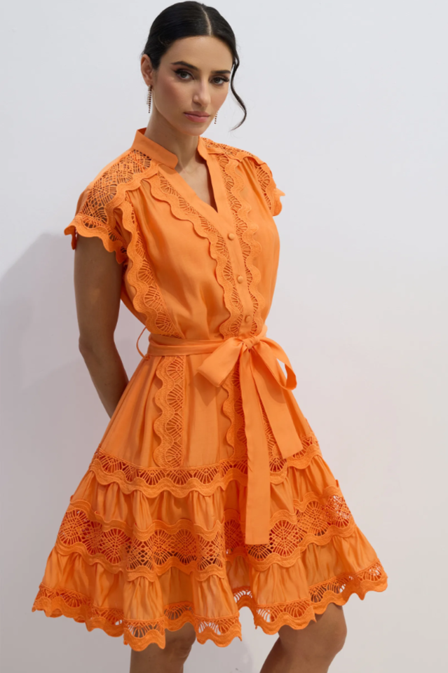 Livia Embroidered Lace Tiered Mini Dress | Dress In Beauty