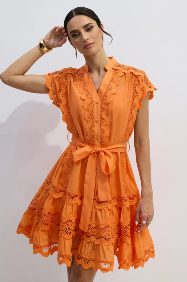 Livia Embroidered Lace Tiered Mini Dress | Dress In Beauty