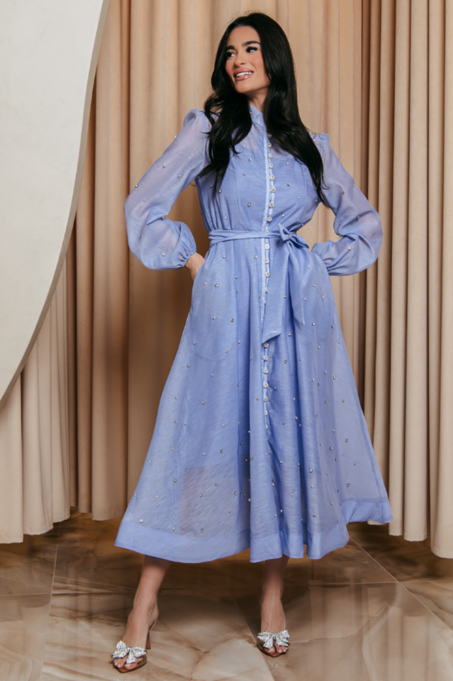 Emelia Crystal Embellished Sheer Maxi Dress | Dress In Beauty