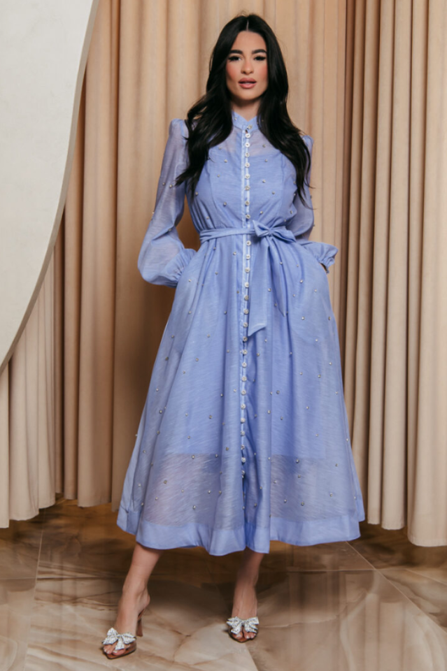 Emelia Crystal Embellished Sheer Maxi Dress | Dress In Beauty