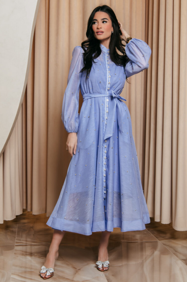 Emelia Crystal Embellished Sheer Maxi Dress | Dress In Beauty