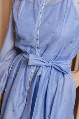 Emelia Crystal Embellished Sheer Maxi Dress | Dress In Beauty