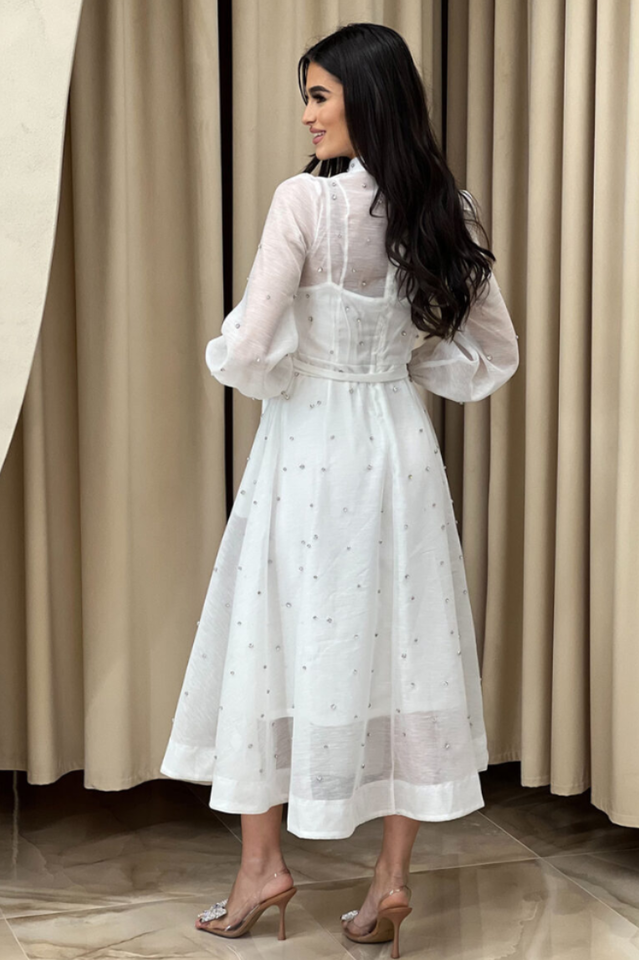 Emelia Crystal Embellished Sheer Maxi Dress | Dress In Beauty