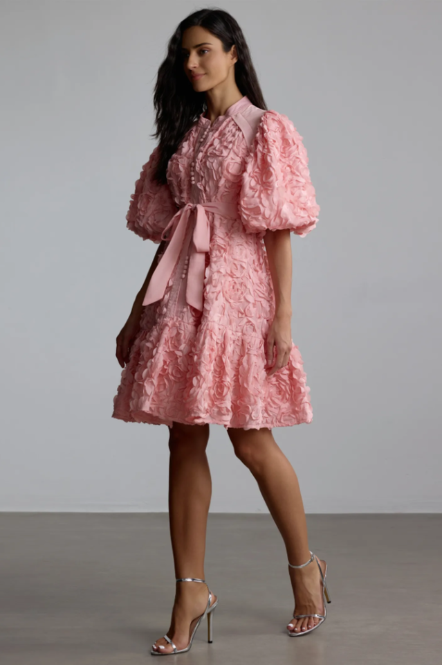 Emeline 3D Floral Mini Dress | Dress In Beauty