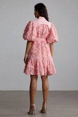 Emeline 3D Floral Mini Dress | Dress In Beauty