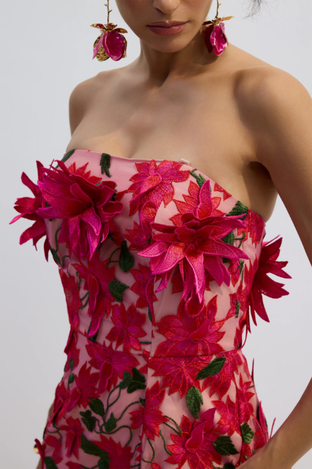 Gloria Floral Embroidery Strapless Maxi Dress | Dress In Beauty