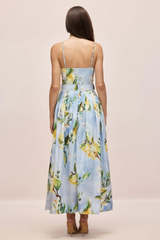 Joyce Spaghetti Strap Maxi Dress | Dress In Beauty