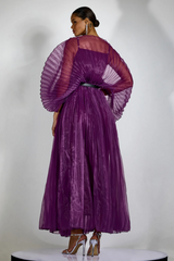 Amanda Semi-sheer Pleated Maxi Dress | Dress In Beauty