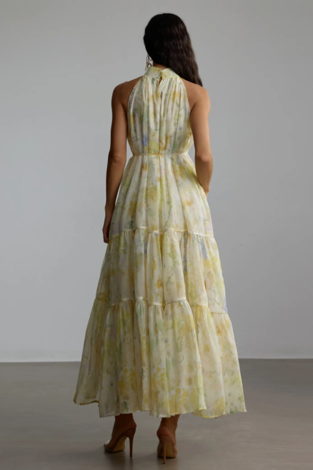 Fiona Floral Print Sleeveless Maxi Dress | Dress In Beauty