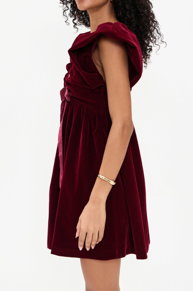 Endless Rose Velvet Bow Mini Dress | Dress In Beauty