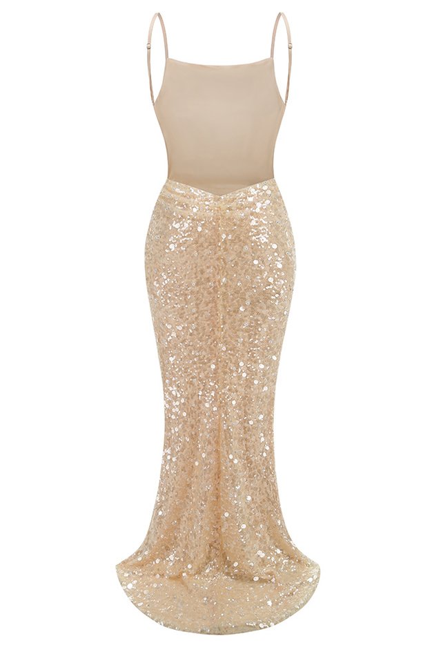 Swann Sequin Slip Maxi Dress | Dress In Beauty
