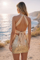 Sequin Twist V-Neck Bodycon Dress | Dress In Beauty