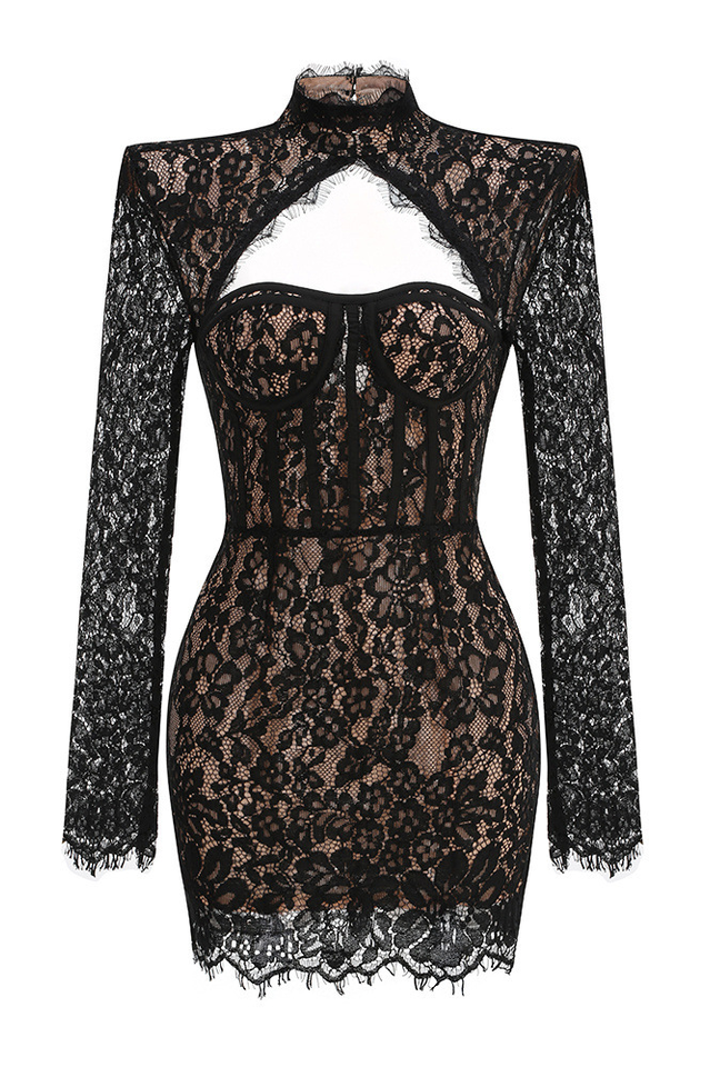 Floral Embroidered Cutout Lace Mini Dress | Dress In Beauty
