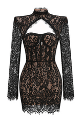 Floral Embroidered Cutout Lace Mini Dress | Dress In Beauty