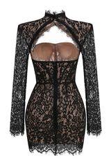 Floral Embroidered Cutout Lace Mini Dress | Dress In Beauty