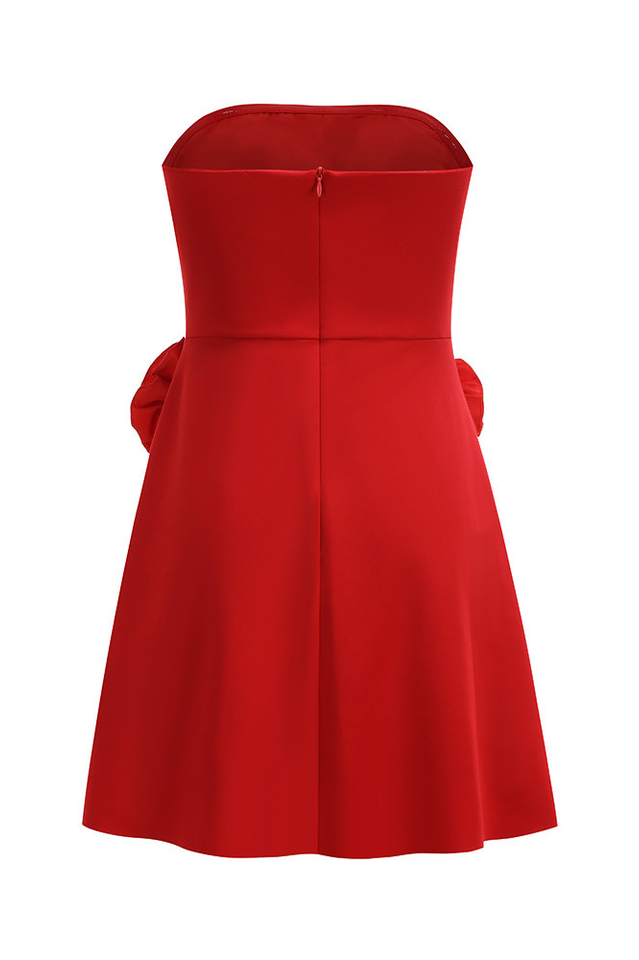 Bandeau Corsage Detail Mini Dress | Dress In Beauty