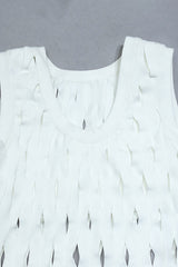 Denisa Sleeveless Tassel Dress | Dress In Beauty