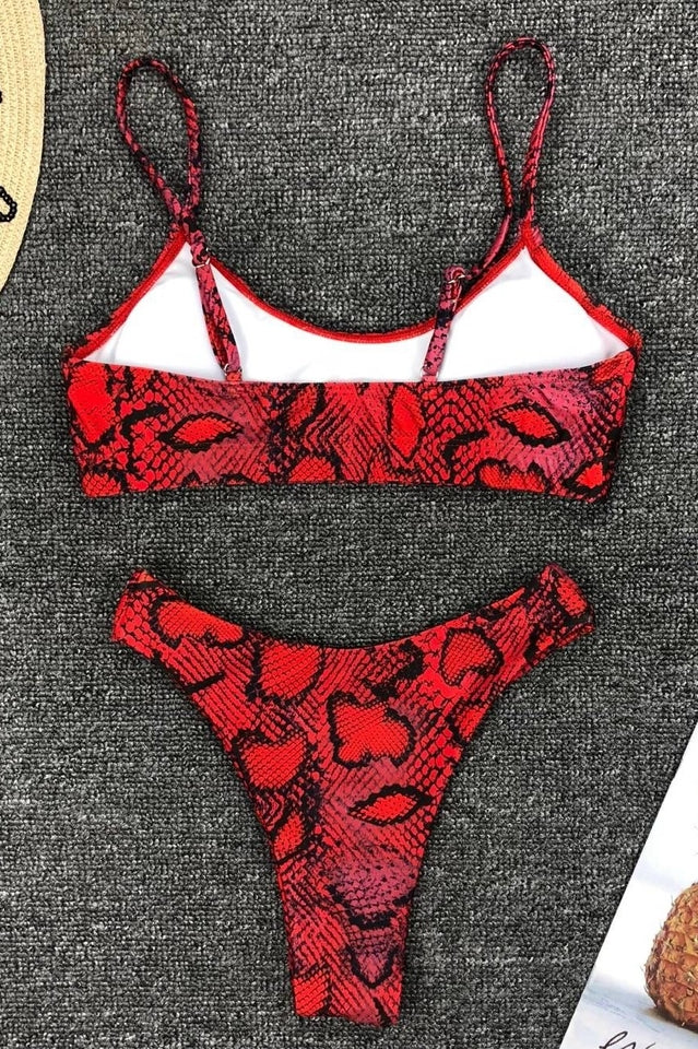 Leopard Print Bikini Set (Multicolor) - Dress In Beauty