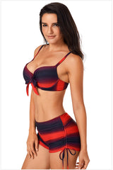 Ombre Shading Push Up Bikini Set | Dress In Beauty