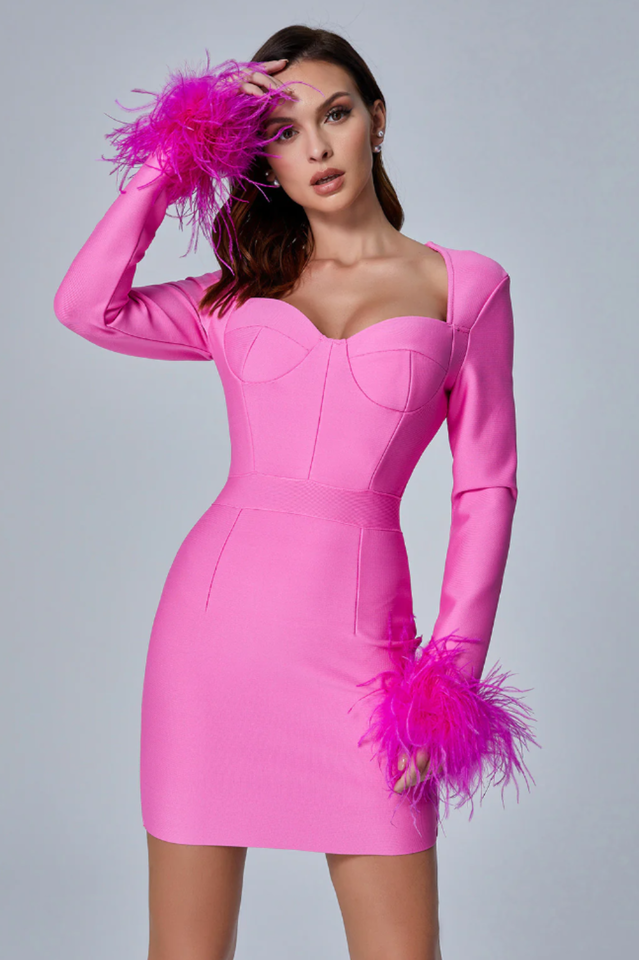 Feather Long Sleeve Bustier Dress | Dress In Beauty