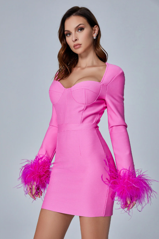 Feather Long Sleeve Bustier Dress | Dress In Beauty