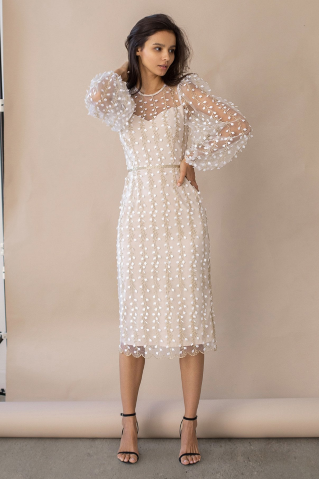 Embroidered Sheer Fitted Dress | Dress In Beauty