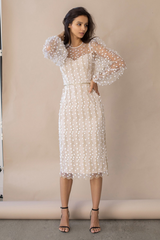 Embroidered Sheer Fitted Dress | Dress In Beauty
